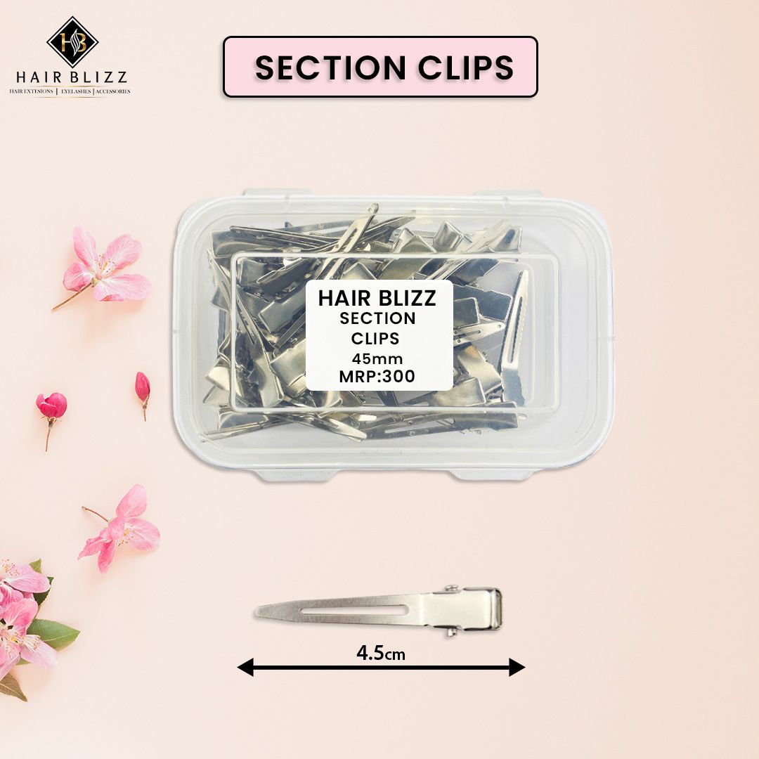 section clip silver small